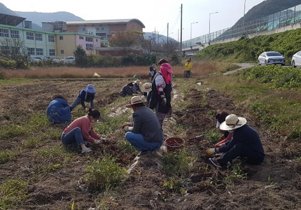 사회적 농업 활용 정신장애인 재활 프로그램. 경상남도 제공