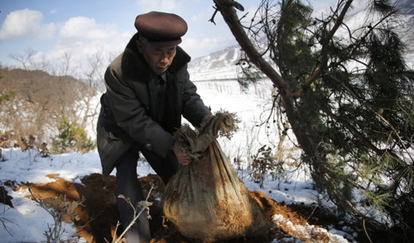 2015년 12월 3일 북한 구장군에서 한 주민이 미군 유해로 추정되는 유골을 수습하고 있는 모습. 뉴시스