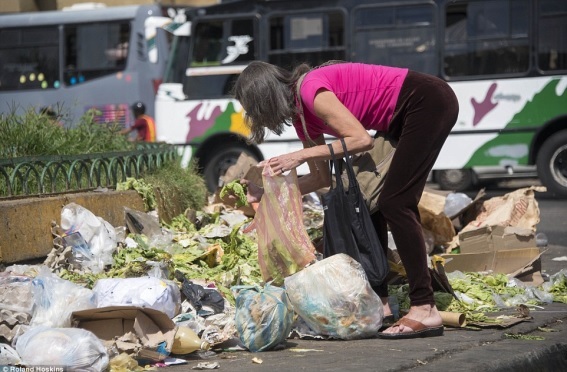 쓰레기를 뒤지는 베네수엘라 중산층 여성(자료:dailymail)