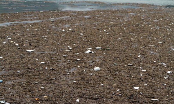 강원 북부지역에 내린 집중폭우로 30일 강원 춘천호에 상류의 쓰레기들이 흘려들어 거대한 섬을 이루고 있다.