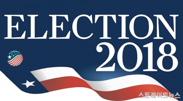 2018년 미국 중간선거(Midterm Election) 홍보물(자료:Houston Chronicle)