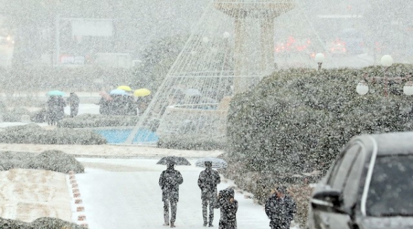 13일 오전 서울 여의도 국회에 눈이 내리고 있다. 기상청은 오늘 오후까지 중부 서해안에 1~3cm, 서울을 포함한 중부 내륙에는 1cm 안팎의 눈이 내린다고 예보했다. 눈이 그친 뒤에는 북서쪽에서 찬바람이 불면서 날이 급격하게 추워지겠다. 내일 서울의 아침 기온 영하 8도까지 뚝 떨어진다.