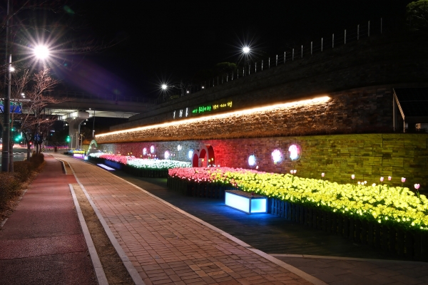 한국동서발전 LED 장미 정원 빛누리.
