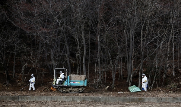 방사능 제거반원들이 후쿠시마 원전 폭발사고 이후 오염된 숲 인근 토양을 제거하고 있다.(자료:Reuters by Umberto Bacchi)(2015.10.15)