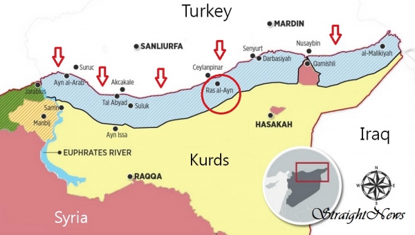 터키가 20만호, 200만 명의 시리아 난민 이주를 제안한 유프라테스강 동쪽 ‘안전지대’(하늘색으로 표시된 지역). 이 지역은 터키가 지난 9일 개시한 ‘평화의 샘’ 작전 지역과 일치한다.(자료:southfront.org) ⓒ스트레이트뉴스