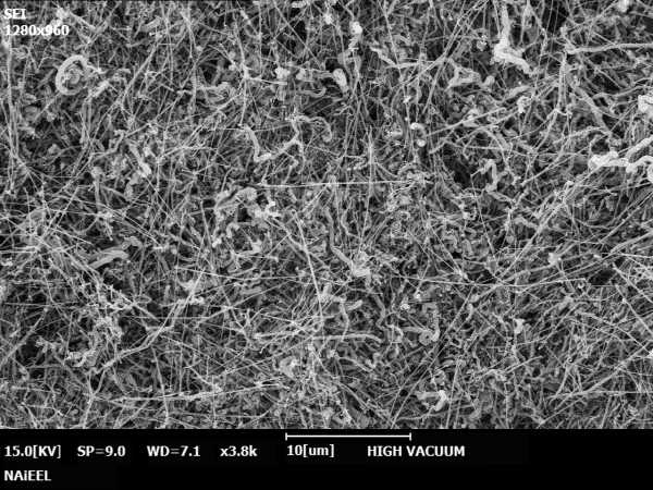 질화붕소 나노튜브 이미지(전자현미경)