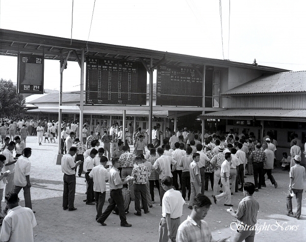 1970년 8월 뚝섬경마장 풍경(자료:한국마사회) ⓒ스트레이트뉴스