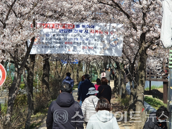 ◇안양천 서쪽의 오목교→목동교 구간 벚꽃길을 거리는 사람들이 많다. (사진=이준혁 기자)