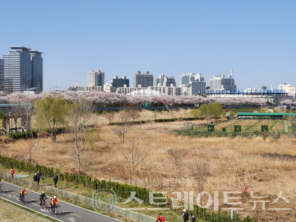 ◇안양천 서쪽의 오목교→목동교 구간 벚꽃길 및 갈대숲, 궁도장. (사진=이준혁 기자)