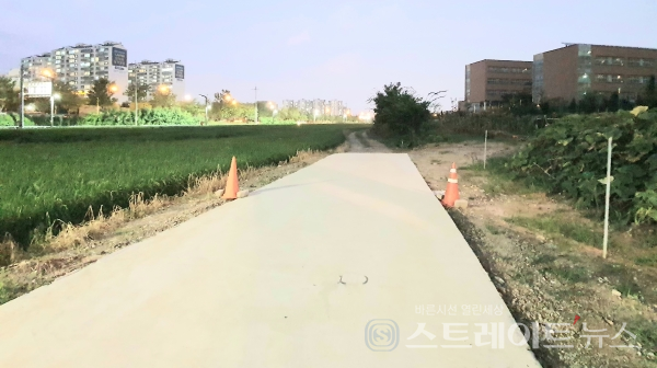 ◇동탄원천로(왼쪽)과 반월중학교(오른쪽) 사이에 있는 땅에는 농작물 경작이 이뤄지고 있다. (사진=이준혁 기자)