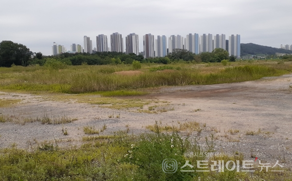 잡풀이 무성한 인천 연수구 동춘동 907번지 일원. 부영그룹은 도시개발사업을 통해 이 곳에 아파트 5000가구 규모를 지을 계획이었다.