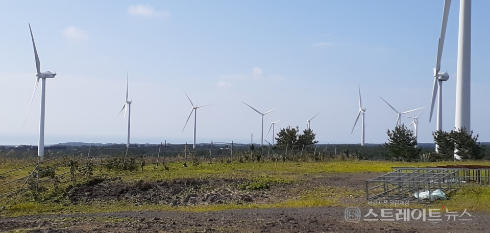 가시리 풍력발전은 국산화풍력발전단지와 SK D&D가 조성한 30MW급 풍력발전 등 총 45MW 규모이다.