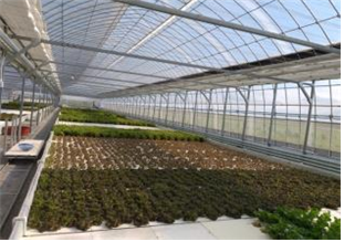 여주 아쿠아포닉스(채소，메기)