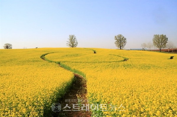 안성팜랜드 '한국관광 100선’ 선정..지역관광활성화 거점 관광지 기대