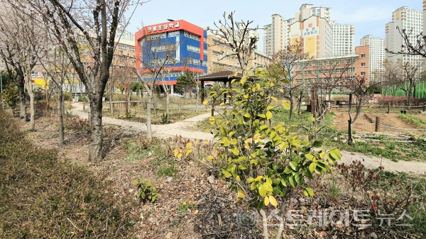 ◇신문지구 조성이 늦어지면 '김해율하 더스카이시티 제니스&프라우' 거주 어린이들이 다닐 관동초등학교. (사진=이준혁 기자)