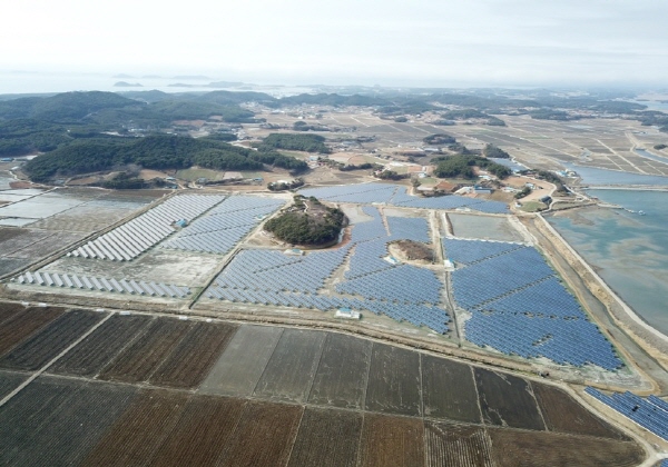 트리나솔라는 2019년 충남에서 진행된 동양에너지 태양광 발전소 건설 사업에 14.5MW 모듈을 공급헸다.