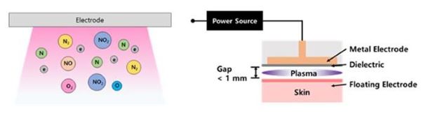 유전체 장벽 방전 플라즈마 전극 구조와 플라즈마 활성종 개념도. 사진=경기도 제공