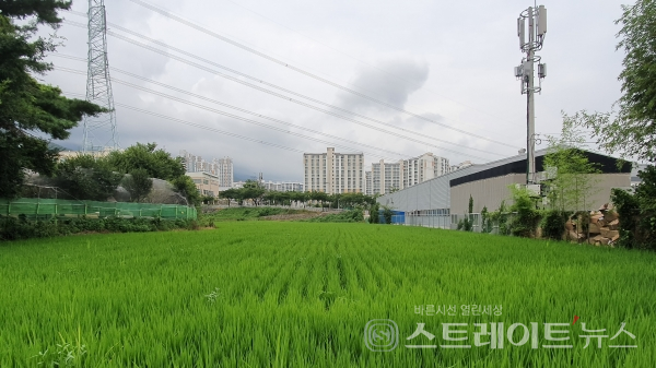 ◇'양산 평산 코아루 에듀포레' 남동쪽 모서리 기준 600여m 남쪽에 있는 웅상어린이집 인근 소로에서 북쪽을 바라보며 촬영한 사진. 농지, 창고, 송전탑, 학교, 아파트, 등이 함께 있는 사진 장면이 평산동·덕계동 현재를 상징적으로 표현한다. (사진=이준혁 기자)