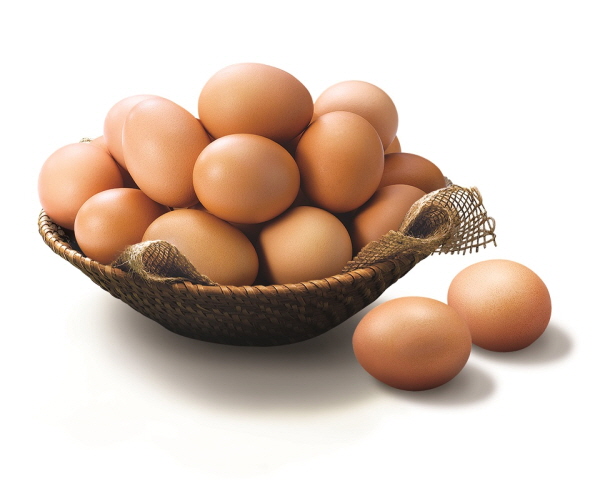 이마트 동물복지 계란