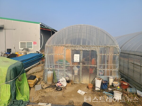 LH가 사전청약 중인 경기도 안산 장상지구 현장. 논밭과 지장물이 그대로 남아 있는 상태다. LH는 이 지구의  4차 사전청약을 실시, 전용 84㎡형의 공공분양 아파트값을 4억2,000만원으로 책정했다. 본청약은 2025년 5월이다. 