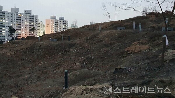 ◇'한화 포레나 청주매봉'은 민간공원특례사업 형태로 지어지는 단지로, 현재 나대지 및 산지다. 그래서 이 터에는 무연고 무덤이 꽤 많으며, 법규에 따라 진행되는 청주시의 공고 이후에도 이장하지 않은 무덤을 관련 절차에 의해 화장된다. (사진=이준혁 기자)