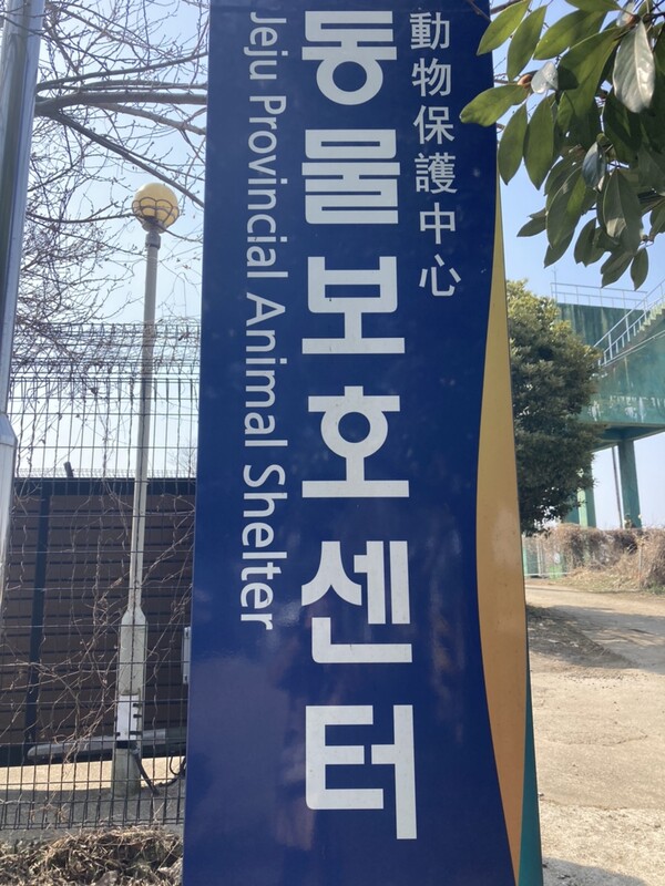 제주 동물보호센터 (사진= 제주특별자치도 제공)