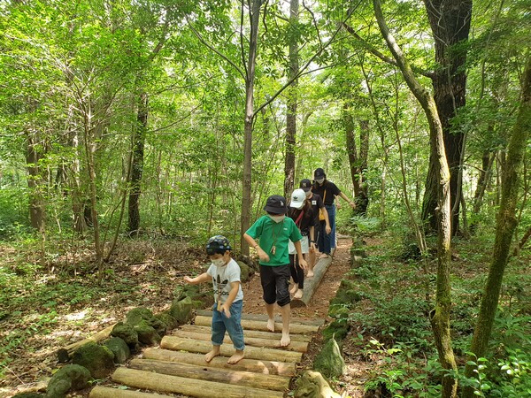 가족나무가 자라요 "쑤욱쑥" (사진= 제주자치도 서귀포 제공)