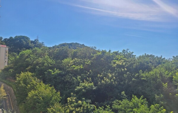 '천왕역 모아엘가 트레뷰'의 허파인 천왕산. @스트레이트뉴스 DB