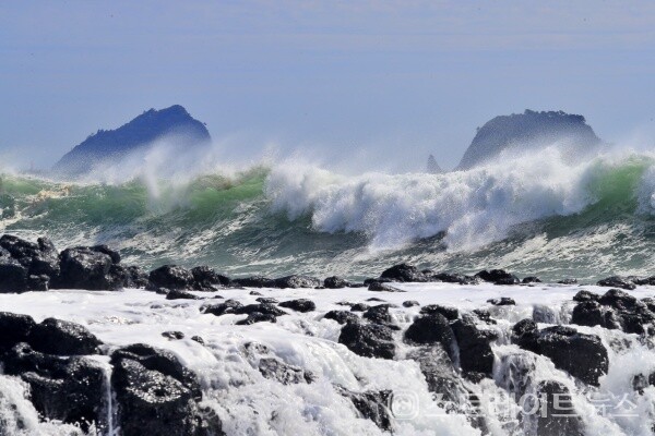 제14호 태풍 난마돌이 북상하는 가운데 18일 오후 서귀포시 법환동 앞바다에 파도가 거세게 몰아치고 있다.(사진=연합뉴스)