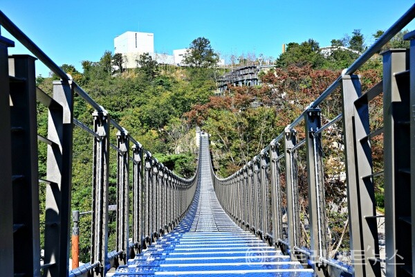 김포 애기봉 평화생태공원 스카이 포레스트가든, 흔들 다리./사진=윤의일기자