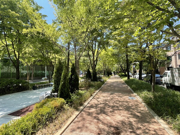 대화도서관 골목정원길./사진=고양시청