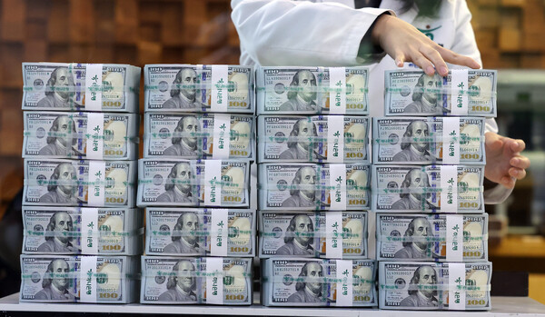 서울 중구 하나은행 위변조대응센터에서 은행 관계자가 달러화를 정리하고 있다.(제공=뉴스1)