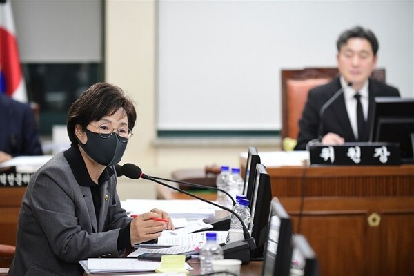 이경숙 서울시의회 의원이 상임위에서 질의 하는 모습./사진제공=서울시의회