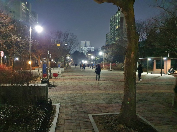 야간의 일산동구 근린공원 정경./사진=고양시청