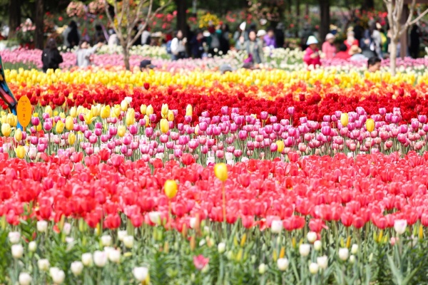 . 2023 고양국제꽃박람회./사진=고양시청