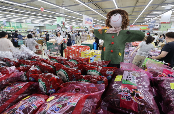 지난 17일 오후 서울 서초구 농협 하나로마트 양재점을 찾은 시민들이 장을 보고 있다. 연합뉴스