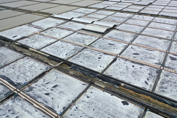 지난 6월 전남 신안군 증도면 태평염전에 소금 결정이 맺히고 있다. 연합뉴스