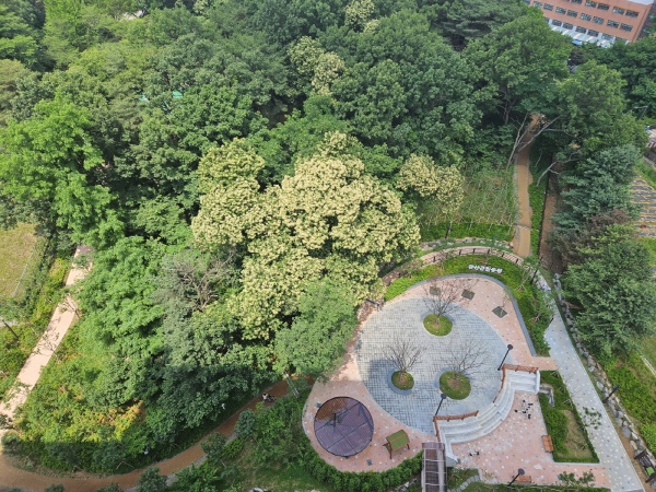 관산근린공원 전경. 고양시 제공