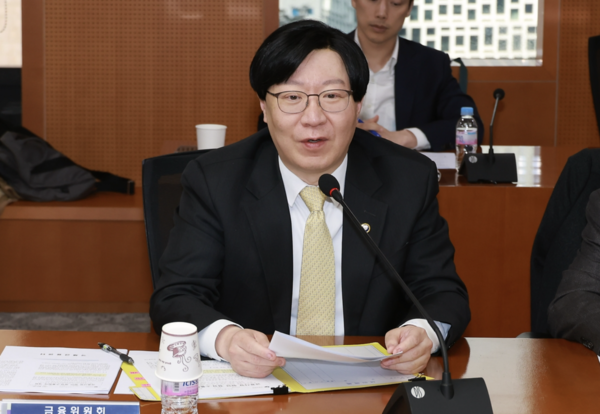 김소영 금융위원회 부위원장. 연합뉴스 제공.