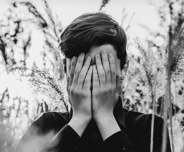 픽사베이 제공.