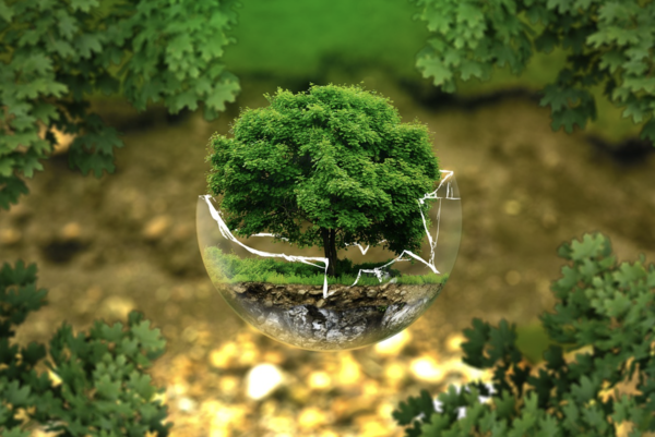 픽사베이 제공.