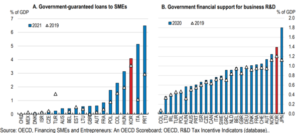 중소기업 지원에 관대한 한국정부. OECD 제공.