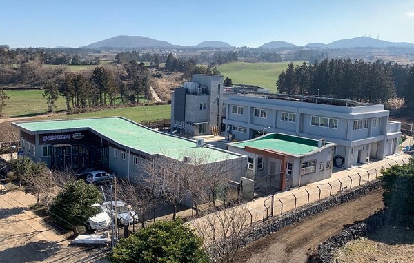 유기 동물 보호센터. 제주도