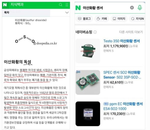 네이버 캡처 자료 (사진=이백형기자)