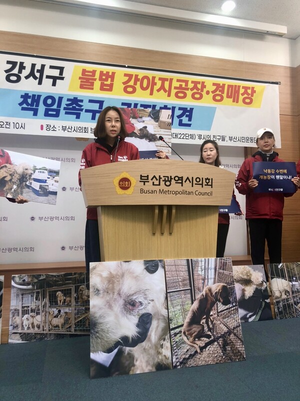 동물보호단체연합 ‘루시의 친구들’ 부산시 강서구 불법 강아지공장·경매장 책임촉구 기자회견 모습