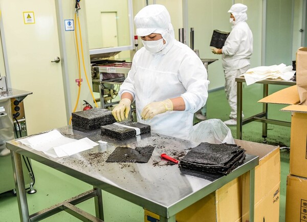 목포시가 올해 3분기 김 수출액 1억 달러를 달성했다.(사진=목포시)