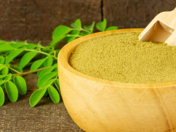 전남 순천시 생산 순천만모링가 원료 (사진=이백형기자)