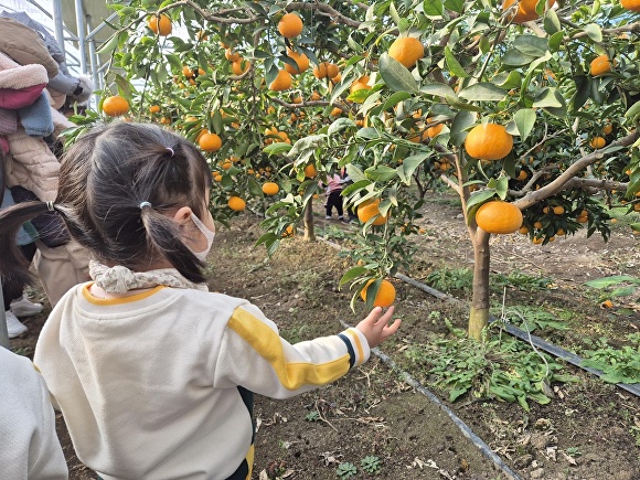 무수천하마을 농촌체험학습 현장. 중구 제공.