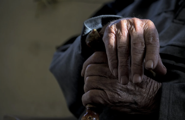 픽사베이 제공.