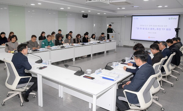 광주광역시가 '대자보도시 광주 추진전담팀(TF) 회의'를 개최하고 있다. (사진=광주광역시)